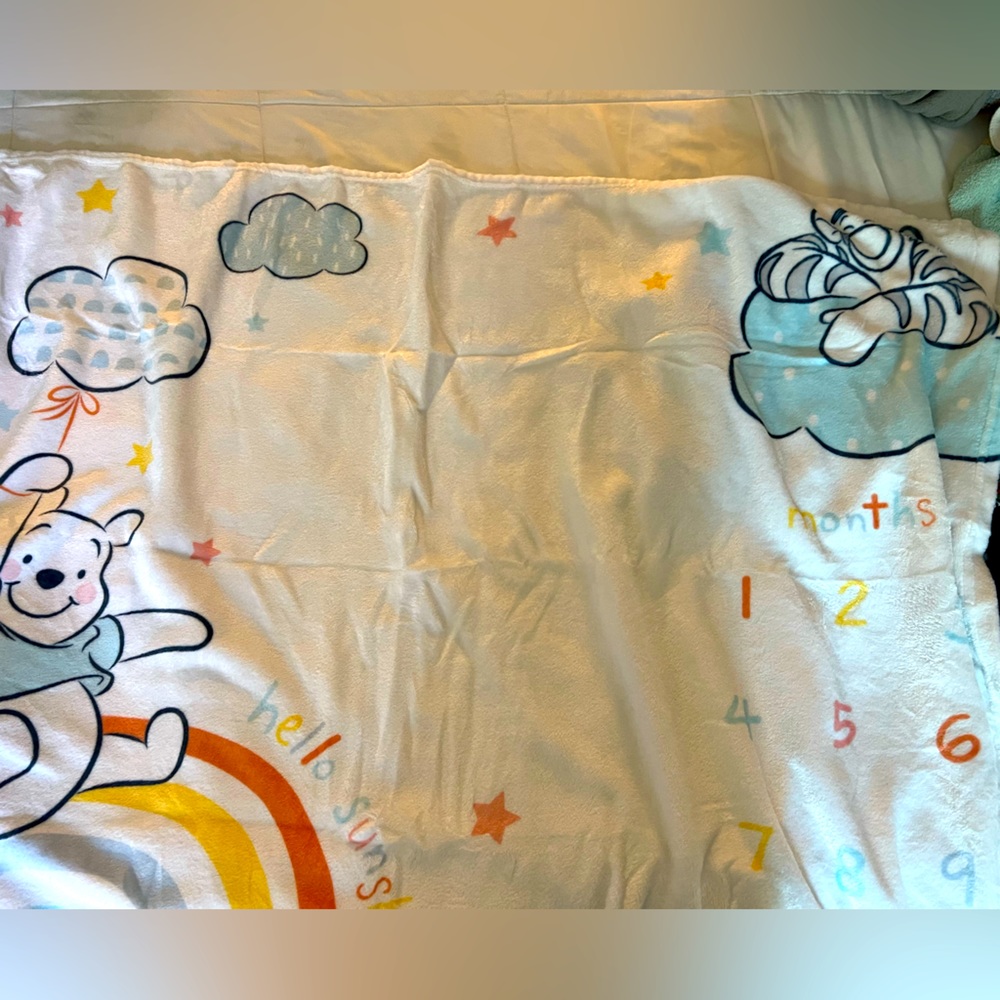 Winnie the Pooh Milestone Blanket